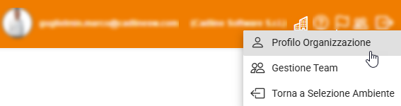 organizzazione-menu-profilo